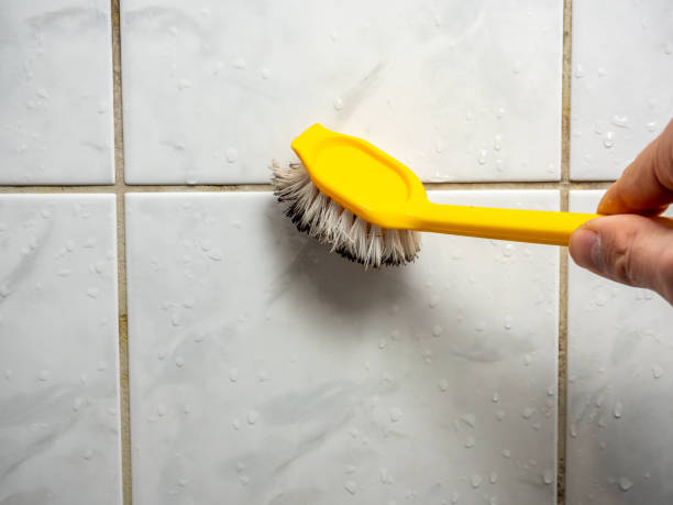 Best Fast Mold Removal  in Presquille, LA
