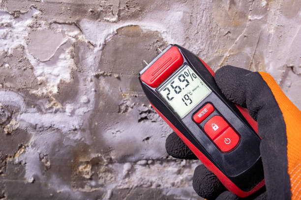 Best Residential Mold Removal  in Presquille, LA