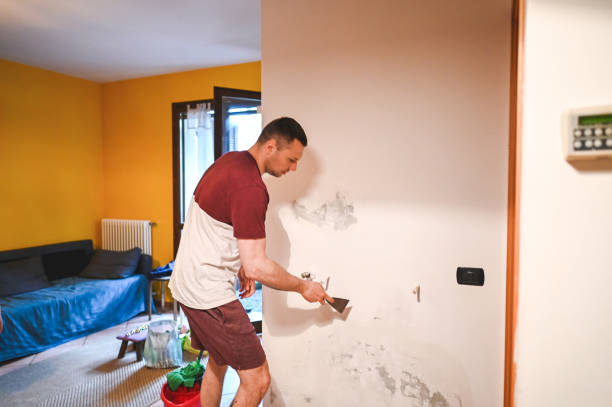 Best Mold Inspection  in Presquille, LA