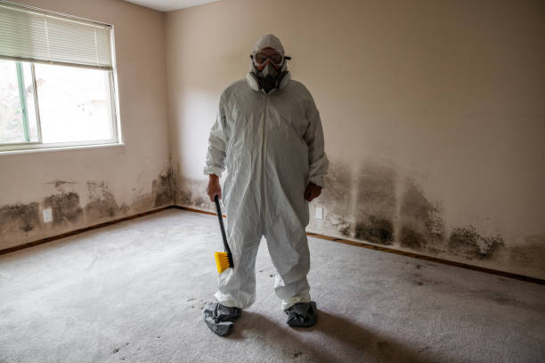 Best Crawl Space Mold Removal  in Presquille, LA